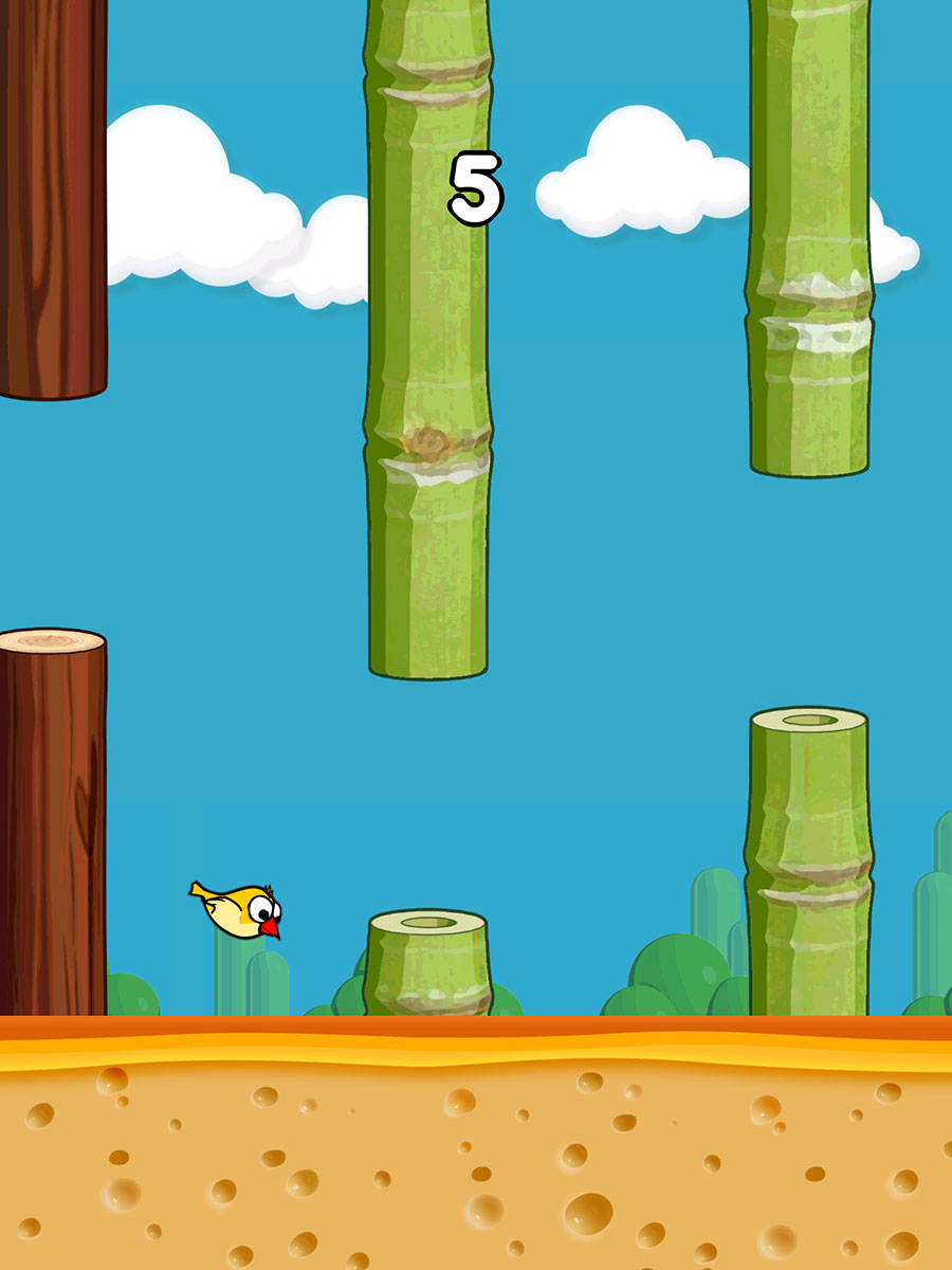 Amazing Bird Game